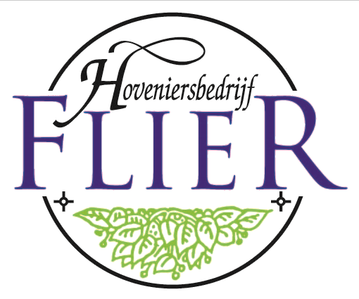 Flier